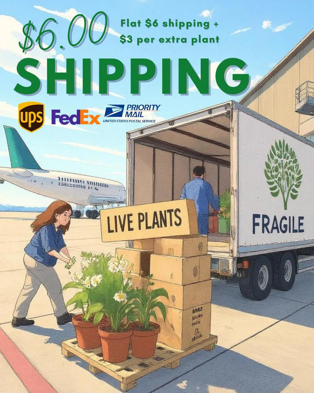 DIY Juniper Bonsai Starter Kit: All-Inclusive