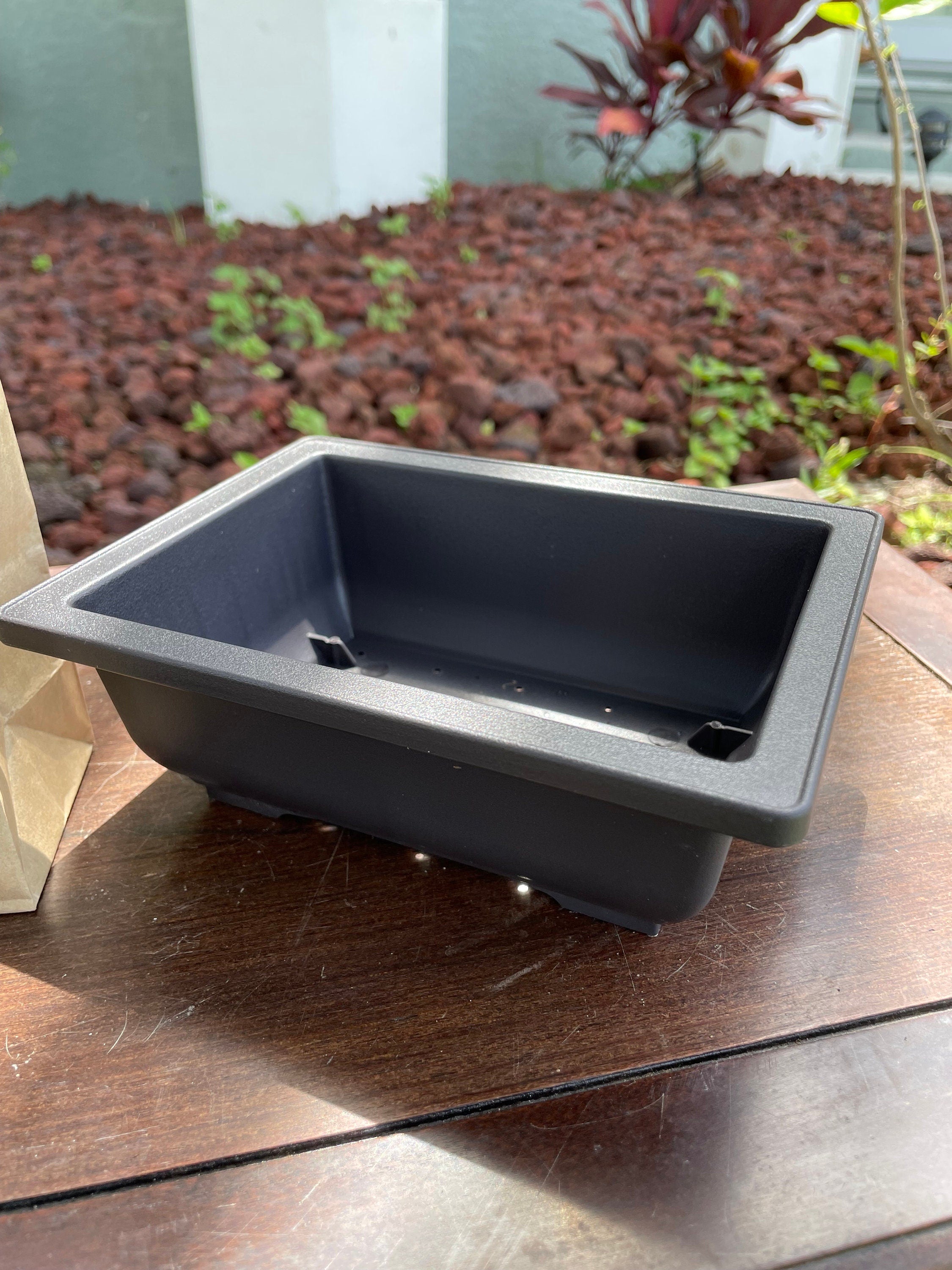 DIY Juniper Bonsai Starter Kit: All-Inclusive