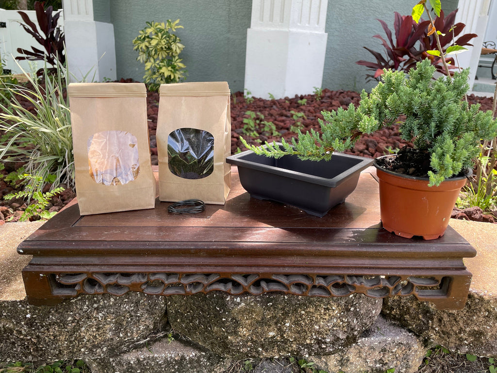 DIY Juniper Bonsai Starter Kit: All-Inclusive